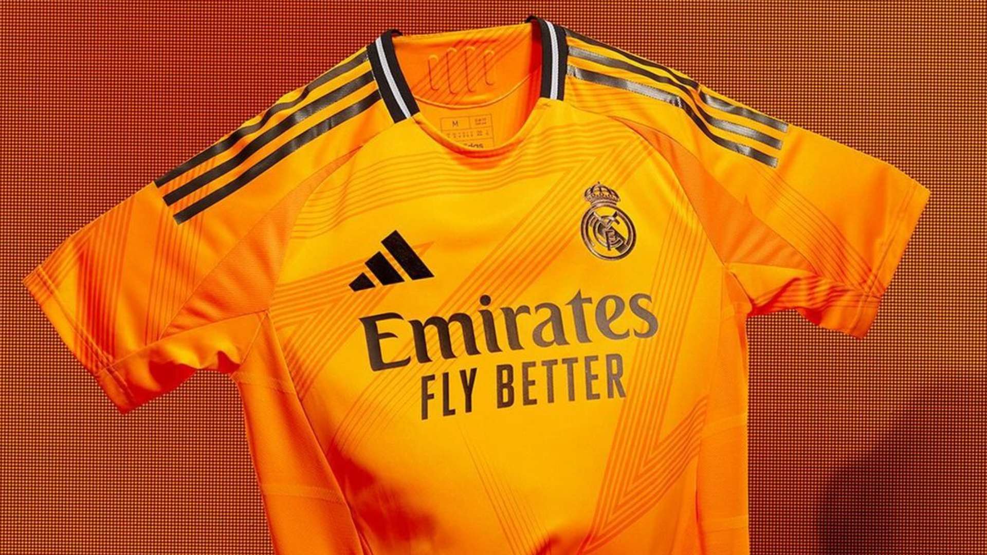 体验到多样 体验到多样