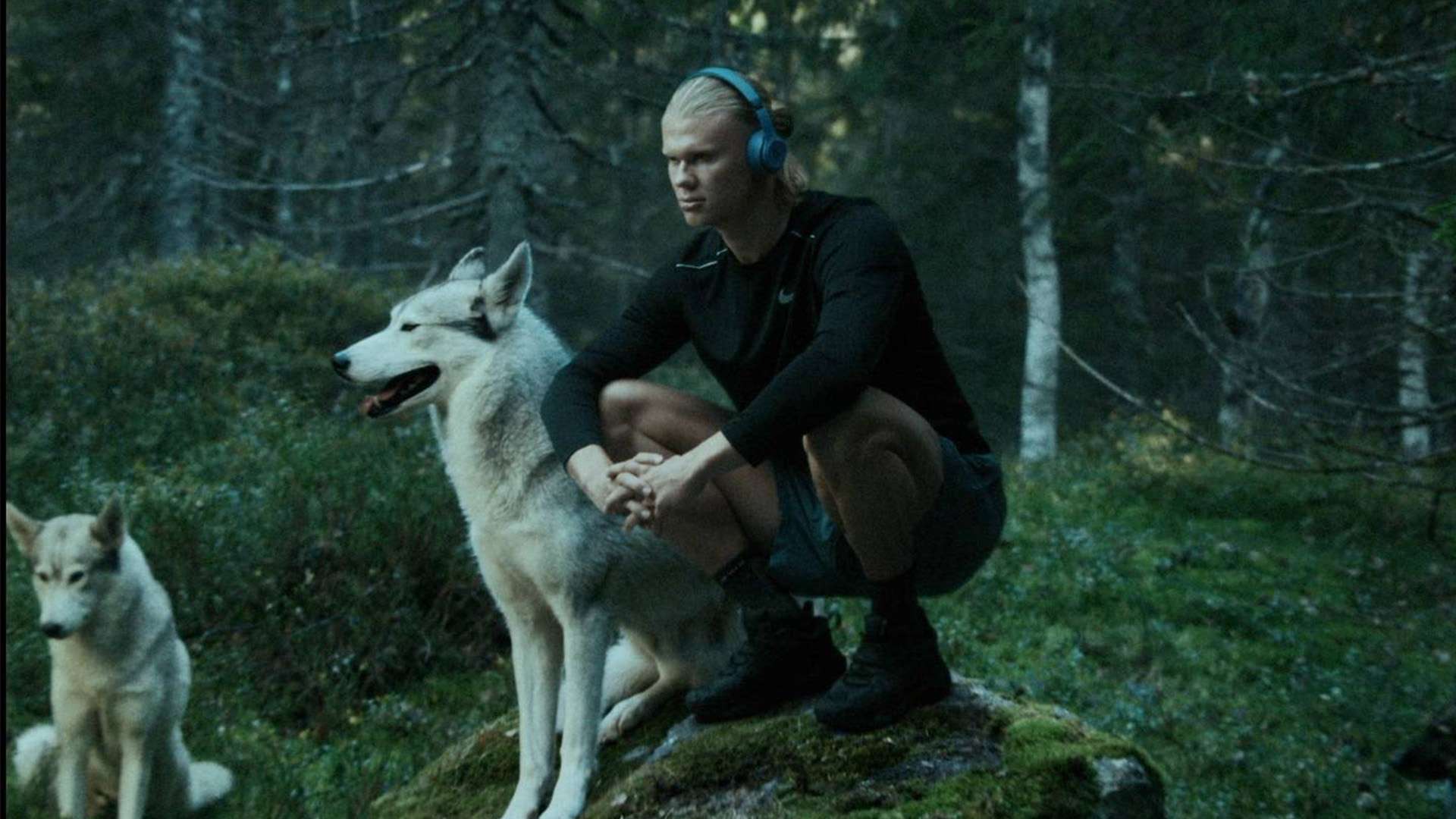 其去留问题 其去留问题